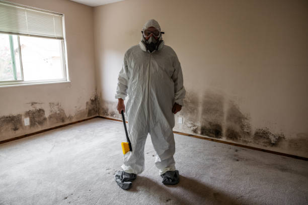 Best Mold Removal and Inspection  in Kendall Park, NJ